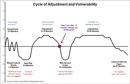 12mo.adjustment graph